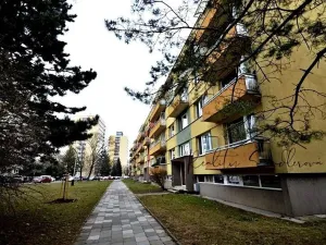 Pronájem bytu 1+1, Přerov, Sokolská, 40 m2
