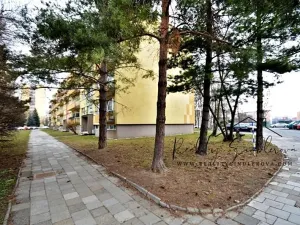 Pronájem bytu 1+1, Přerov, Sokolská, 40 m2