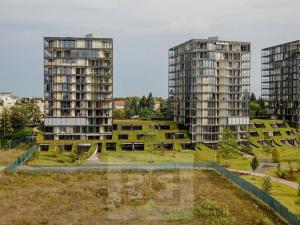 Pronájem bytu 2+kk, Praha - Žižkov, Pitterova, 65 m2