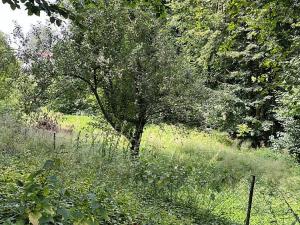 Prodej chaty, Roubanina, 80 m2