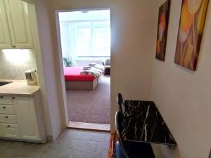 Pronájem bytu 1+kk, Zlín, Svat. Čecha, 30 m2
