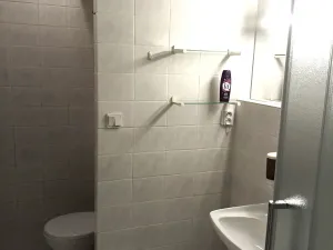 Pronájem bytu 1+kk, Zlín, Svat. Čecha, 30 m2