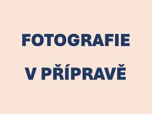 Prodej bytu 1+kk, Praha - Malešice, Skřivanská, 30 m2