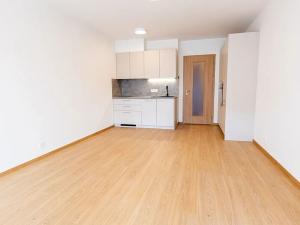 Pronájem bytu 1+kk, Praha - Háje, Sochorcova, 40 m2