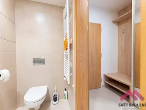 Pronájem bytu 1+kk, Praha - Háje, Sochorcova, 40 m2