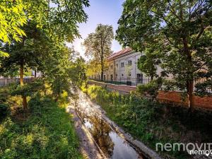 Pronájem bytu 1+kk, Praha - Nusle, Muzikova, 32 m2