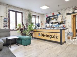 Pronájem obchodního prostoru, Brno - Husovice, Dukelská třída, 240 m2
