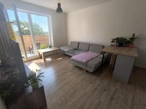 Pronájem bytu 2+kk, Městec Králové, Malátova, 44 m2