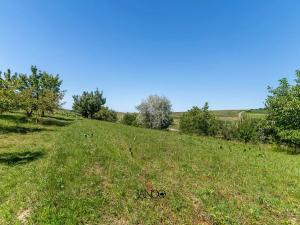 Prodej rodinného domu, Hovorany, 180 m2