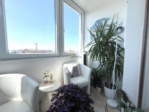 Prodej bytu 2+kk, České Budějovice - České Budějovice 5, Dobrovodská, 60 m2