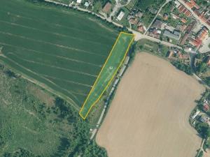 Prodej pole, Dub, 108574 m2
