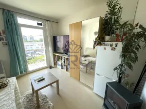 Pronájem bytu 1+kk, Brno, Mlýnská, 23 m2