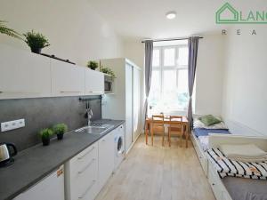 Pronájem bytu 1+kk, Brno, Palackého třída, 27 m2