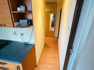 Prodej bytu 2+1, Přerov, Purkyňova, 53 m2