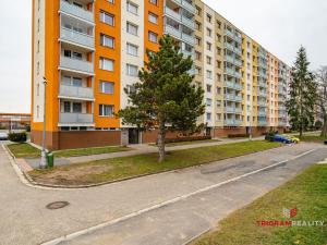 Pronájem bytu 1+1, Hradec Králové - Moravské Předměstí, Štefánikova, 35 m2