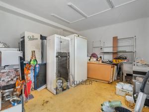 Prodej ubytování, Velká Chmelištná, 550 m2