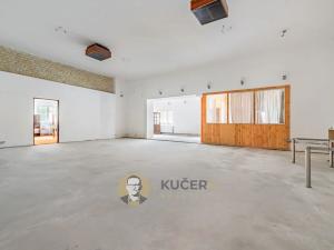 Prodej rodinného domu, Velká Chmelištná, 550 m2