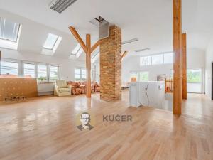 Prodej rodinného domu, Velká Chmelištná, 550 m2