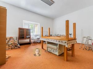 Prodej rodinného domu, Velká Chmelištná, 550 m2
