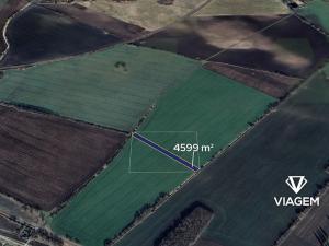 Prodej podílu pole, Pňov-Předhradí, 2299 m2