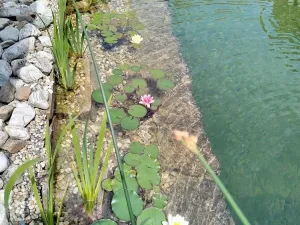 Prodej chalupy, Slavkov u Brna, Sušilova, 58 m2