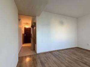 Prodej bytu 2+1, Týnec nad Sázavou, Okružní, 41 m2