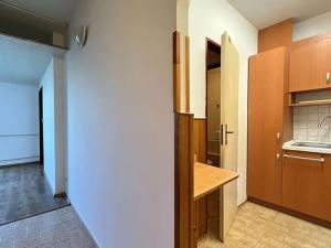 Prodej bytu 2+1, Týnec nad Sázavou, Okružní, 41 m2