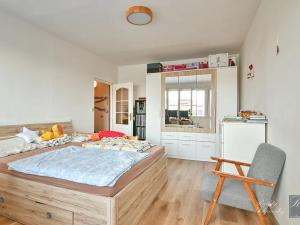 Prodej bytu 3+1, Ústí nad Labem, Pincova, 83 m2