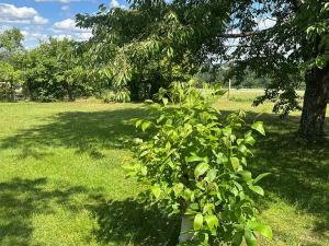 Prodej pozemku pro bydlení, Albrechtice nad Vltavou, 650 m2