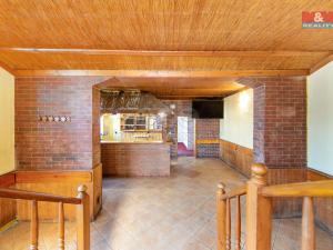 Pronájem restaurace, Plzeň - Jižní Předměstí, Klatovská třída, 111 m2