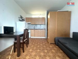 Pronájem bytu 1+kk, Klášterec nad Ohří - Miřetice u Klášterce nad Ohří, Královéhradecká, 19 m2