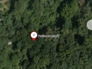 Prodej lesa, Drslavice, 295 m2
