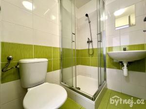 Pronájem bytu 2+kk, Olomouc - Hodolany, Rejskova, 40 m2