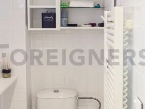 Pronájem bytu 1+kk, Praha, Myslbekova, 25 m2
