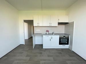 Pronájem bytu 1+1, Litvínov, U Bílého sloupu, 42 m2