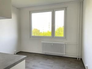 Pronájem bytu 1+1, Litvínov, U Bílého sloupu, 42 m2