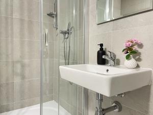 Pronájem bytu 1+1, Litvínov, U Bílého sloupu, 42 m2