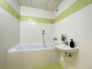 Pronájem bytu 1+1, Litvínov, U Bílého sloupu, 41 m2
