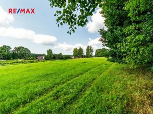Prodej komerčního pozemku, Nová Pec, 16305 m2