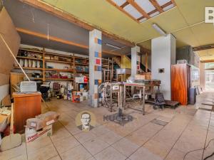 Prodej výrobních prostor, Velká Chmelištná, 550 m2