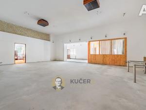 Prodej komerční nemovitosti, Velká Chmelištná, 550 m2