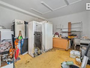 Prodej komerční nemovitosti, Velká Chmelištná, 550 m2