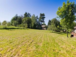Prodej zemědělské usedlosti, Horní Pěna, 450 m2