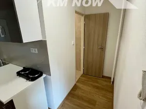 Pronájem bytu 1+kk, Kroměříž, Oskol, 29 m2
