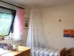 Prodej komerční nemovitosti, Česká Ves, Úzká, 280 m2