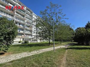 Pronájem bytu 2+kk, Praha - Karlín, Nekvasilova, 40 m2