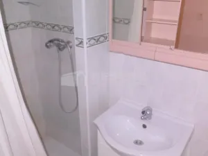 Pronájem bytu 1+1, Praha - Žižkov, Vlkova, 40 m2