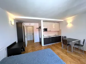 Pronájem bytu 1+kk, Praha - Nové Město, Hálkova, 30 m2