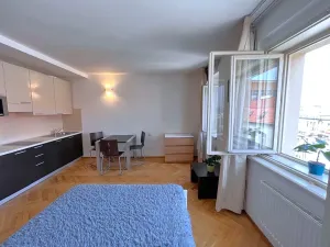 Pronájem bytu 1+kk, Praha - Nové Město, Hálkova, 30 m2
