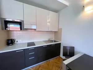 Pronájem bytu 1+kk, Praha - Nové Město, Hálkova, 30 m2